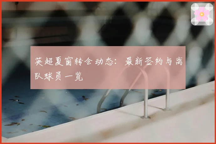 英超夏窗转会动态:最新签约与离队球员一览