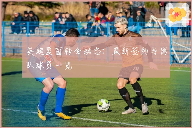 英超夏窗转会动态:最新签约与离队球员一览