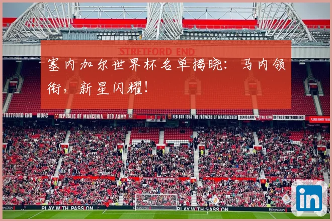 塞内加尔世界杯名单揭晓:马内领衔,新星闪耀!
