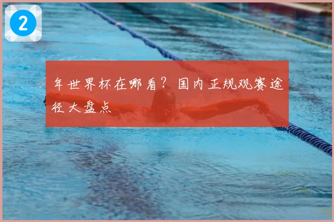 年世界杯在哪看?国内正规观赛途径大盘点
